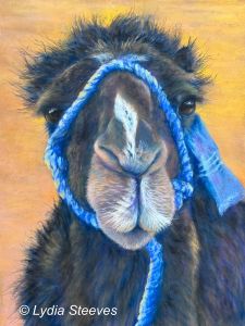 Mo in Pastel e-Packet